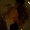 #LocalRestWeek Chilean sea bass, butternut squash risotto, wilted spinach.