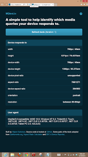 Win8/IE10 tall desktop.